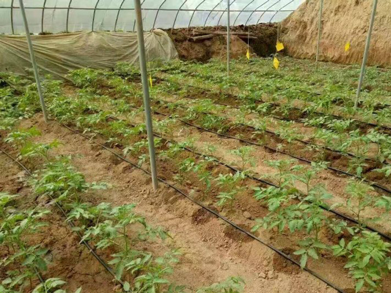 霍爾德土壤水勢儀可以做什么？