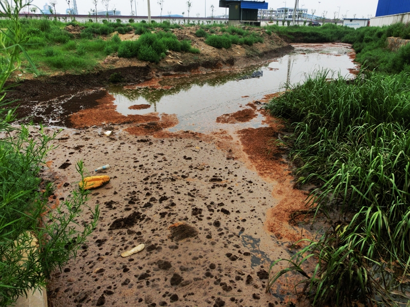 生物毒性分析儀監(jiān)測(cè)受污染環(huán)境的生物毒性 生物毒性分析儀監(jiān)測(cè)受污染環(huán)境的生物毒性
