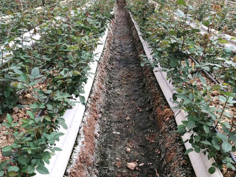 土壤水勢儀的工作原理是什么 土壤水勢儀的工作原理是什么