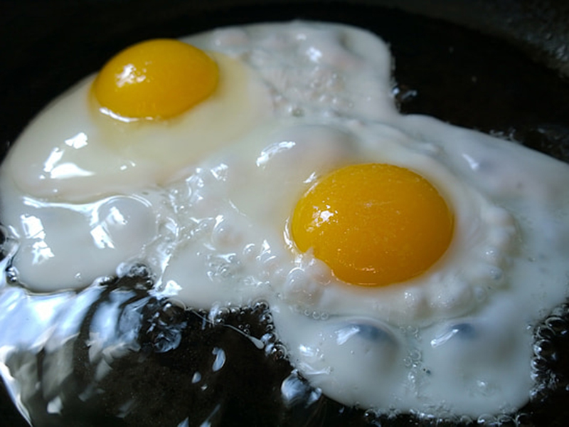 蛋白質檢測儀適合現場及實驗室使用