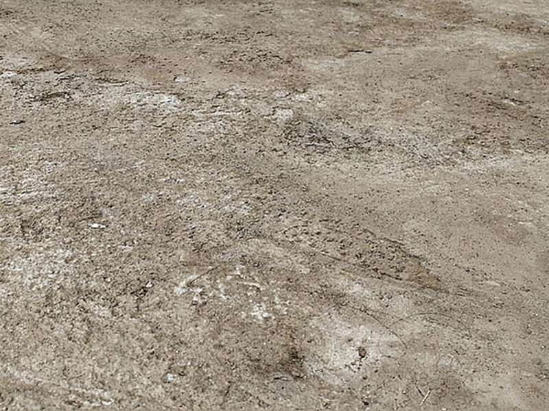 土壤鹽化對種植作物有怎樣的影響 土壤鹽化對種植作物有怎樣的影響