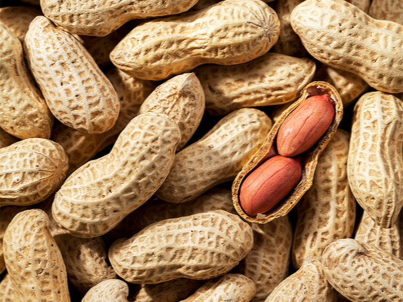 黃曲霉毒素 黃曲霉毒素