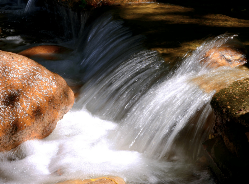 水質生物毒性檢測儀