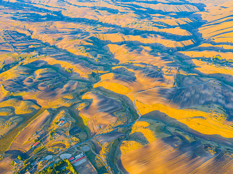 土壤有機質檢測儀