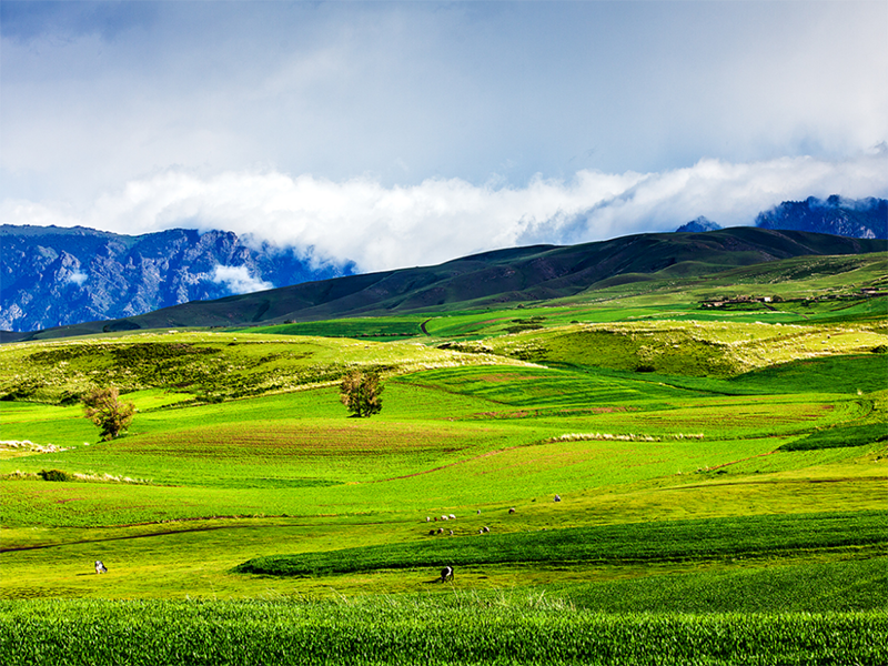 土壤肥料檢測儀