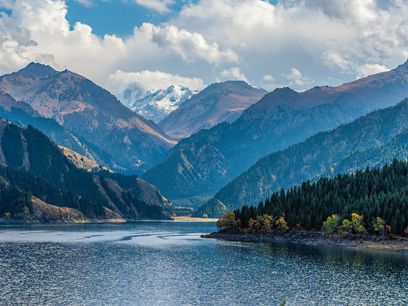 水質檢測COD是什么意思 水質檢測COD是什么意思