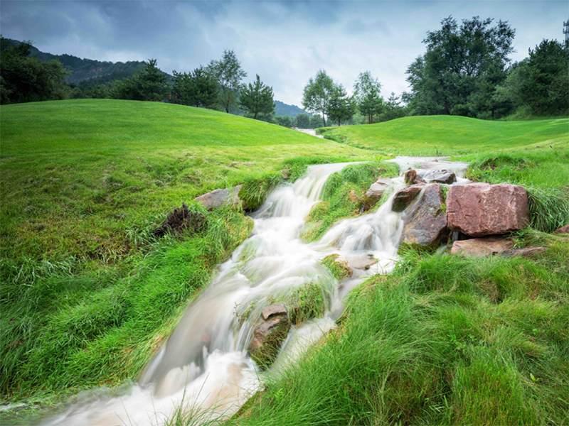 廢水氨氮總氮超標(biāo)原因 廢水氨氮總氮超標(biāo)原因
