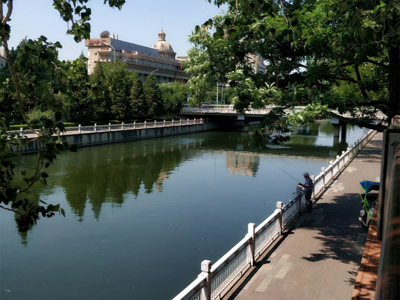 水質(zhì)生物毒性分析儀原理（生物毒性分析儀功能）