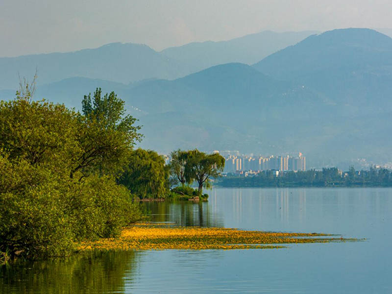 COD水質(zhì)在線監(jiān)測設(shè)備價格 COD水質(zhì)在線監(jiān)測設(shè)備價格