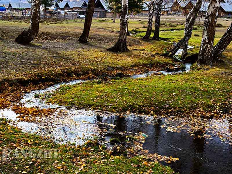 總氮測定儀使用注意事項（總氮測定儀操作步驟）