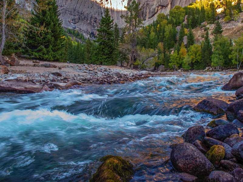 二氧化氯消毒劑的作用