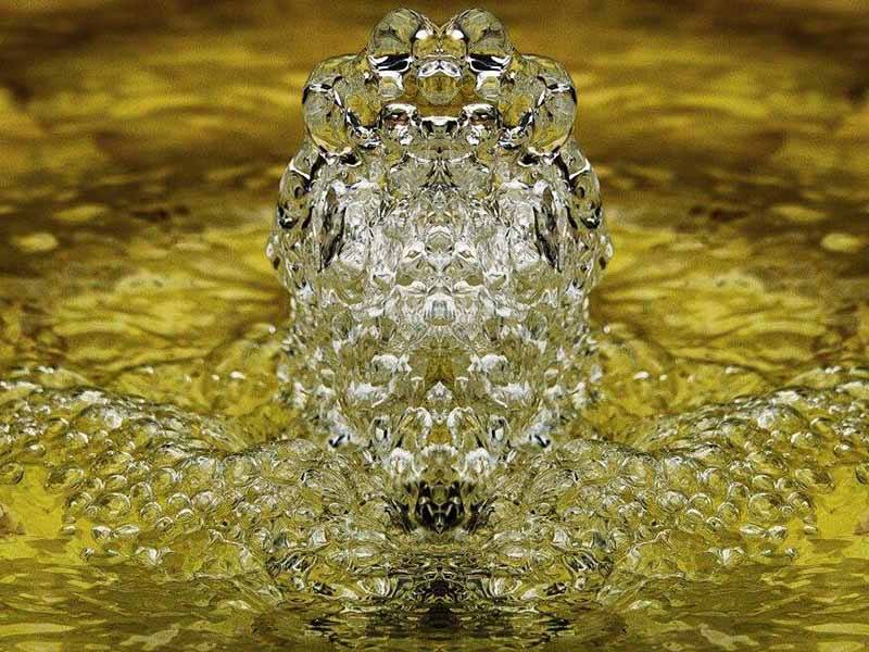 工業循環水常遇到的問題