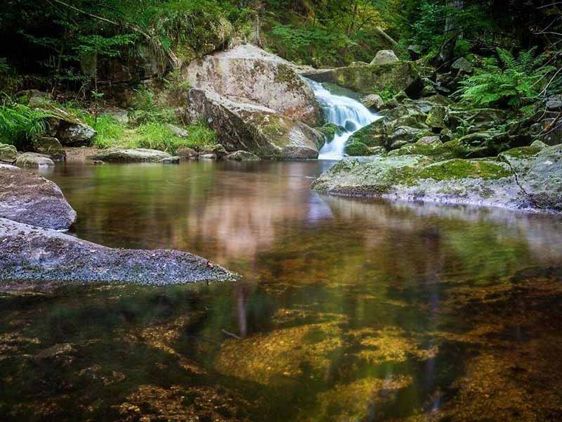 水質總磷在線分析儀多少錢 水質總磷在線分析儀多少錢
