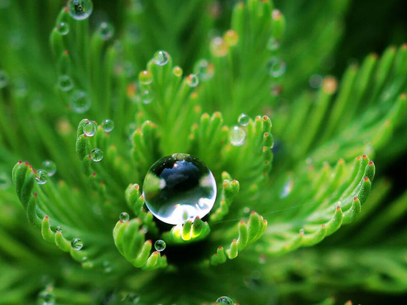 在線COD監測儀報價是多少 在線COD監測儀報價是多少