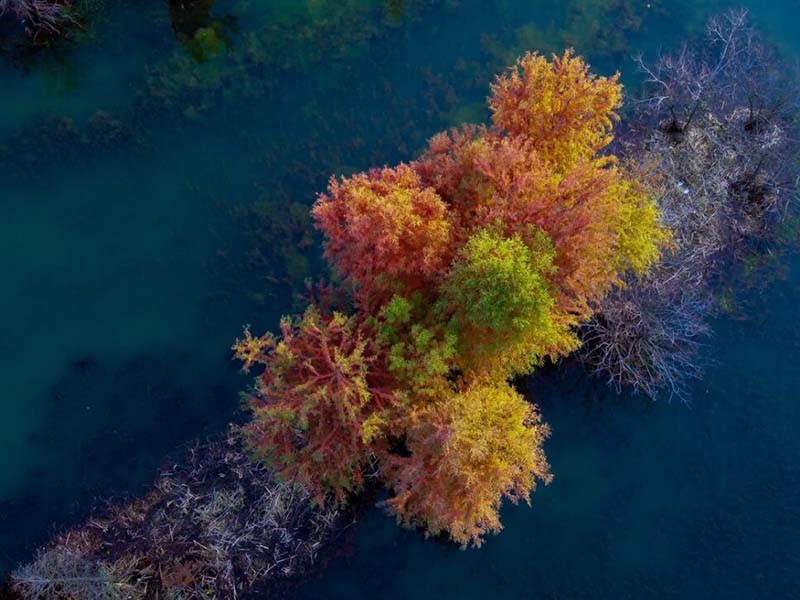 水質COD代表什么意思