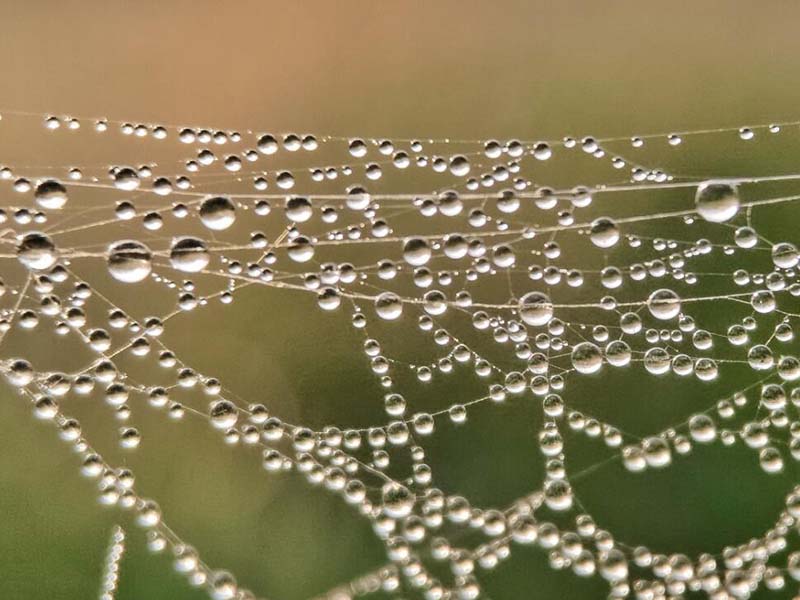洪澇災害期間自來水能否飲用