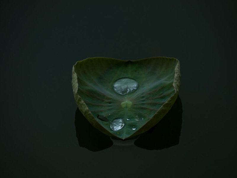 【儀器】紅外測油儀與紫外測油儀的區別