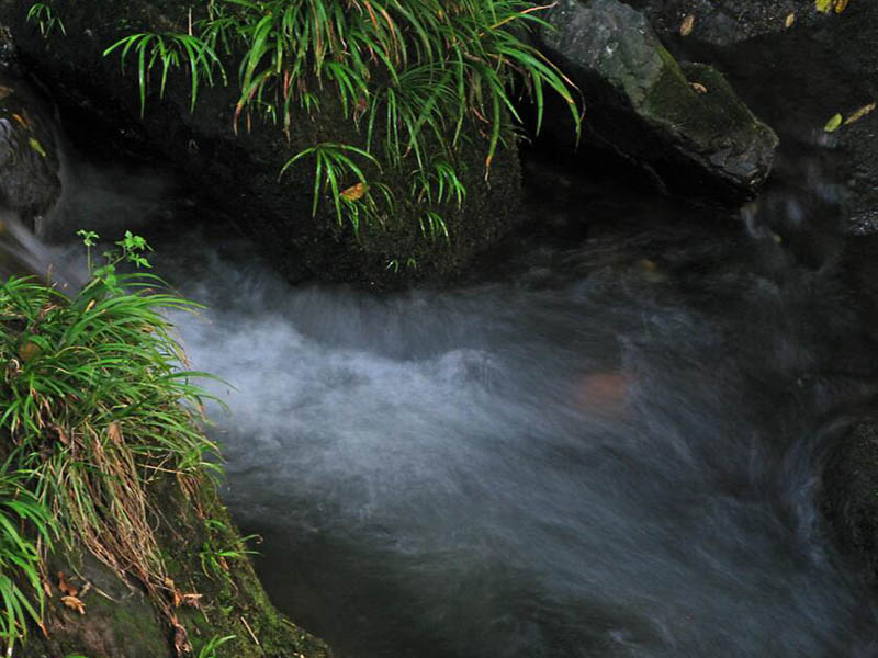 在線COD監(jiān)測(cè)儀常見故障有哪些 在線COD監(jiān)測(cè)儀常見故障有哪些