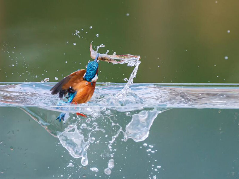 水產養殖檢測儀好用嗎