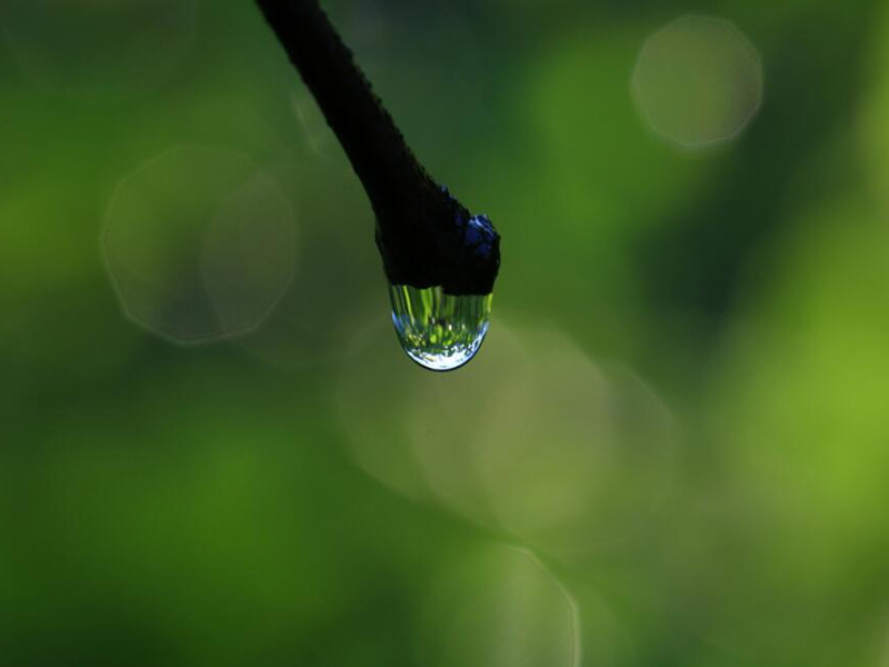 智能消解儀操作說明（智能消解儀哪種好）