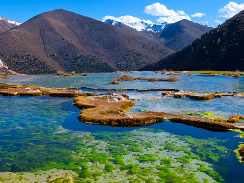 水質大腸桿菌檢測儀準確嗎