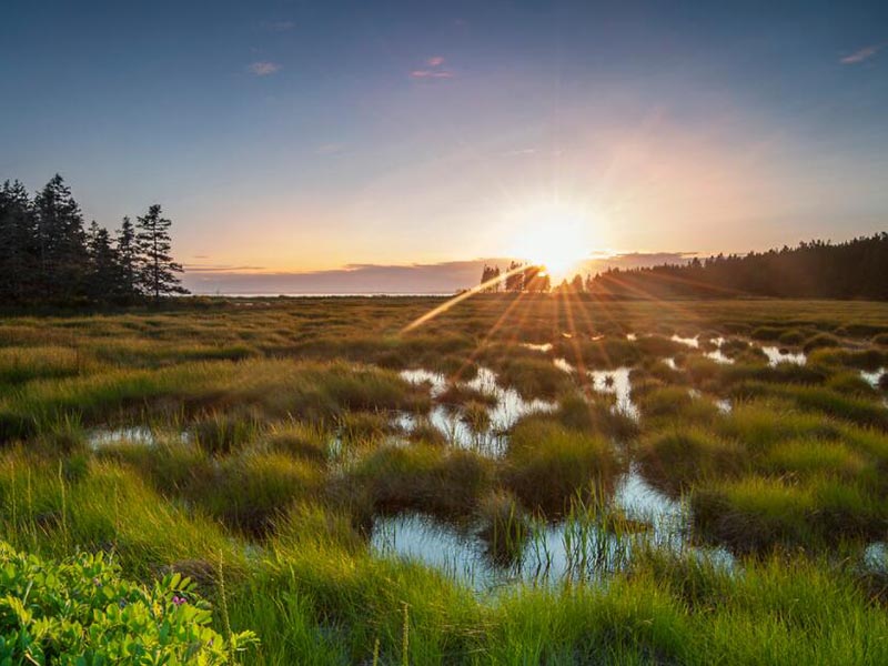 便捷式水質檢測儀操作步驟