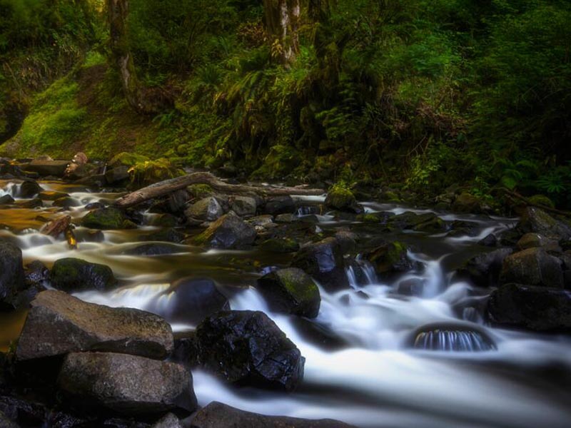 便攜式余氯檢測儀操作步驟（便攜式余氯檢測儀廠家）