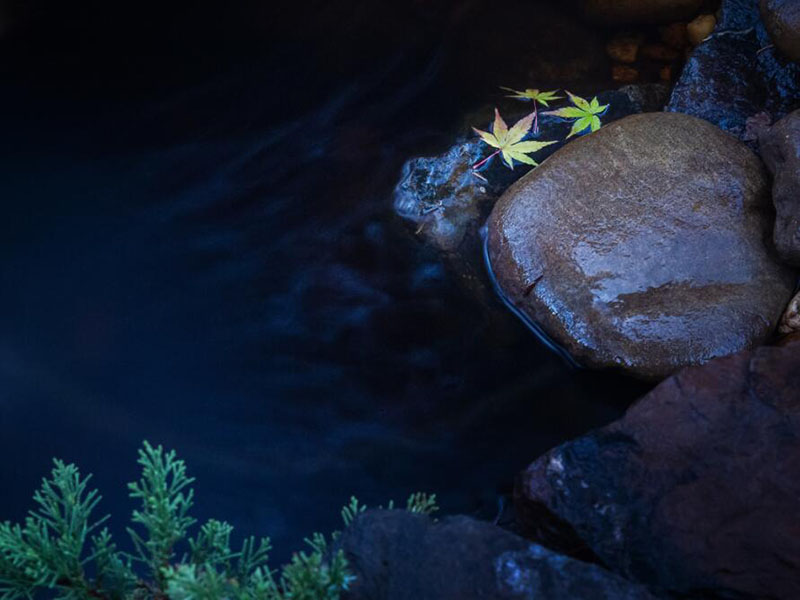 總磷在線自動監測儀說明書