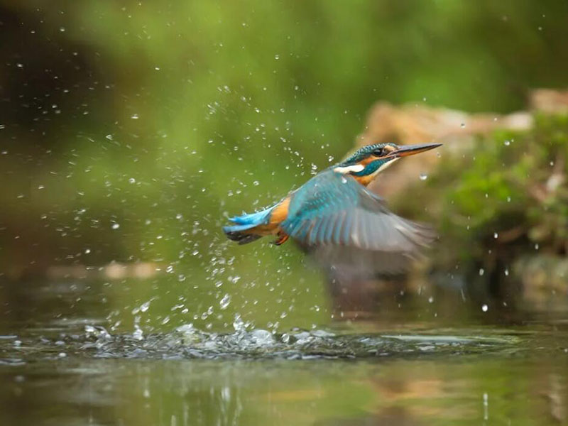 長(zhǎng)江流域總磷污染的原因是什么