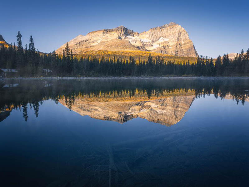 COD快速檢測儀檢測結果為什么是0