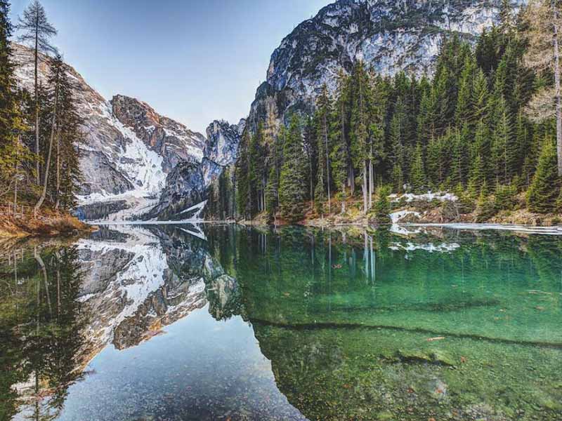 水質糞大腸菌群檢測標準