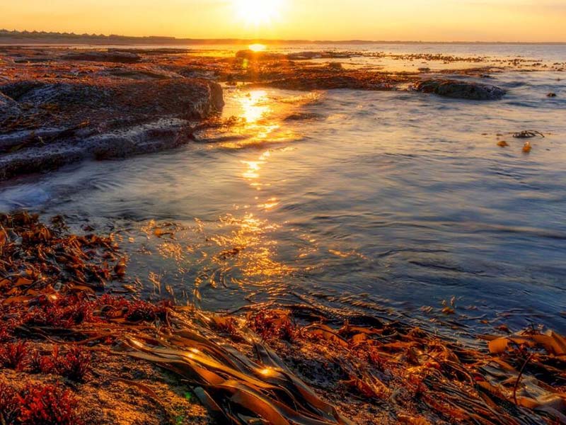 COD常用測定方法（COD測定的影響因素）