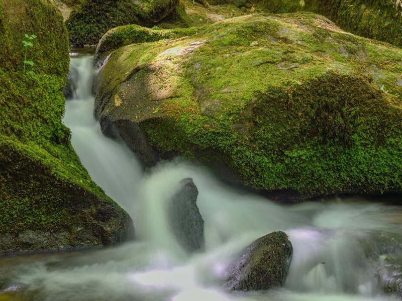 水的電阻率如何測定