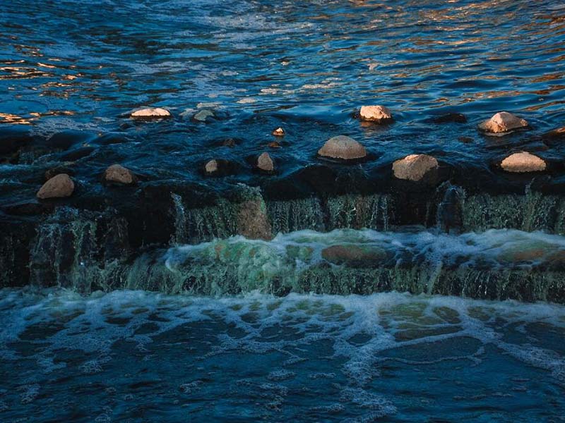 水產(chǎn)養(yǎng)殖為什么要檢測總堿度（總堿度對水體的影響）