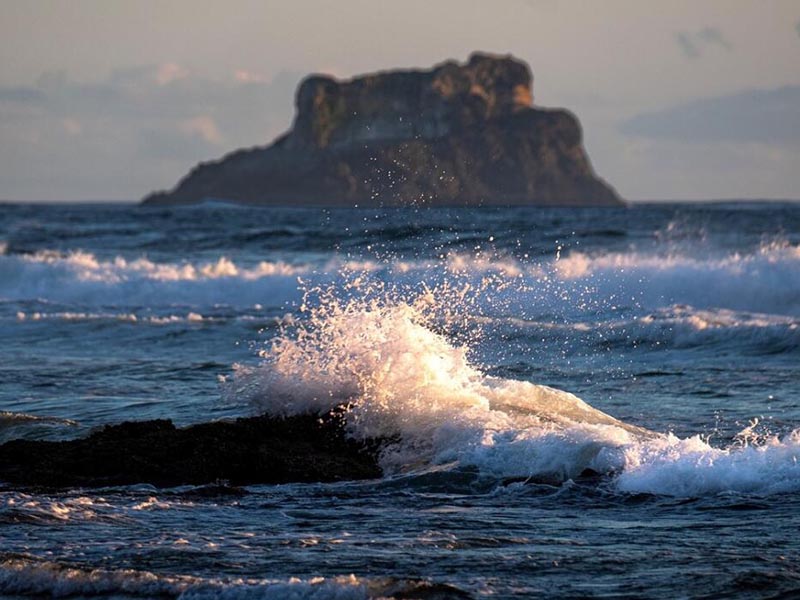 總磷在線監(jiān)測儀日常維護方法