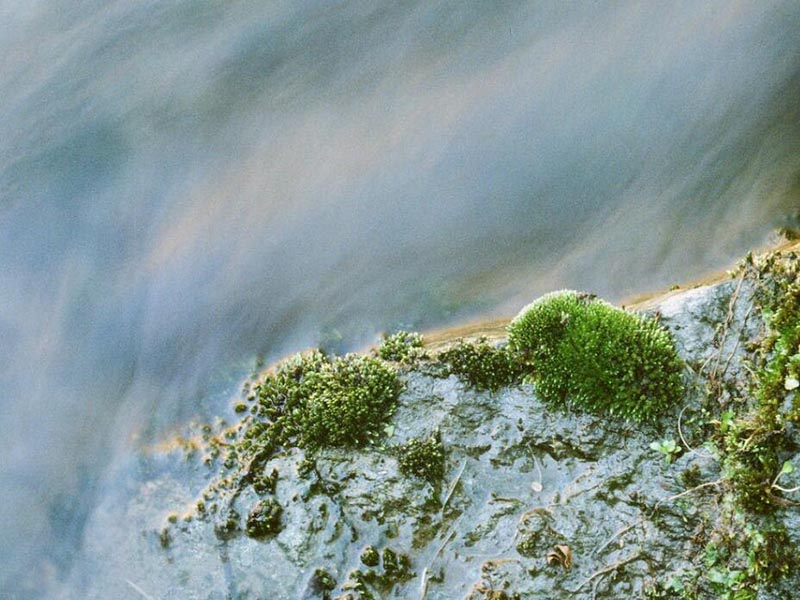 多參數流動注射分析儀檢測原理及指標