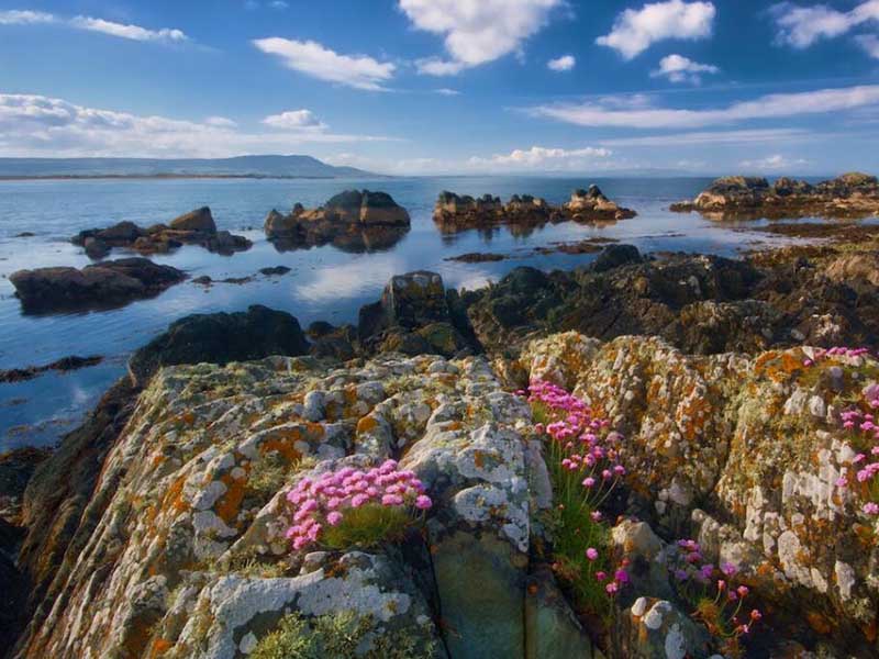 飲用水大腸桿菌6種檢測方法