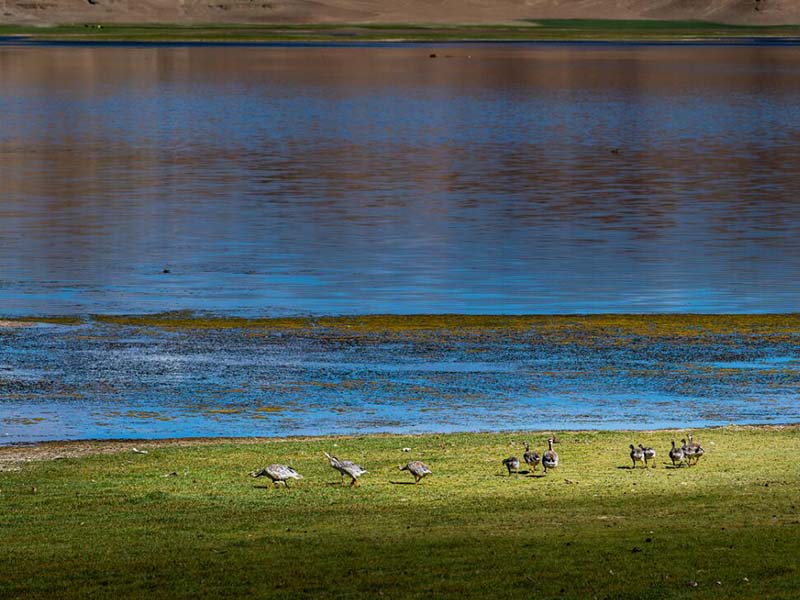 水質色度檢測方法及標準