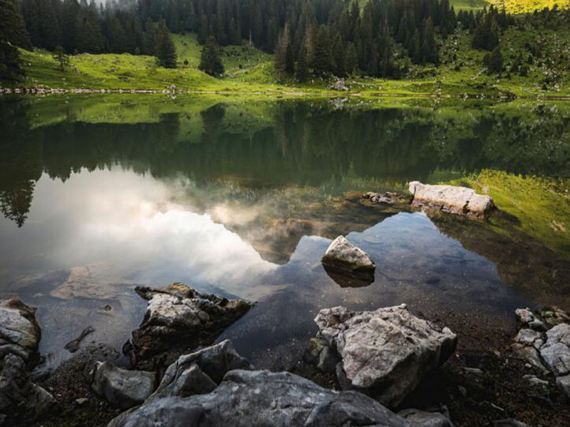水質總氮檢測儀工作原理