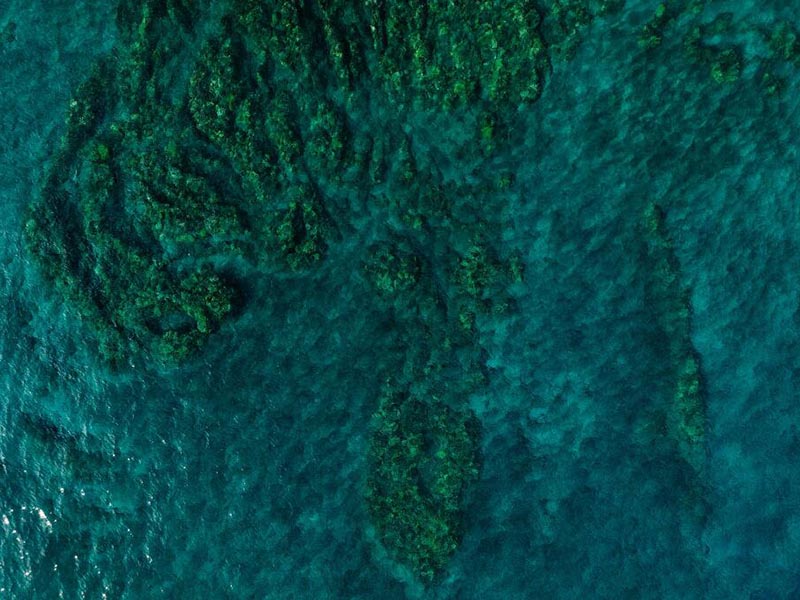 養殖水體pH過高的危害（怎么判讀pH值的高低更加準確）