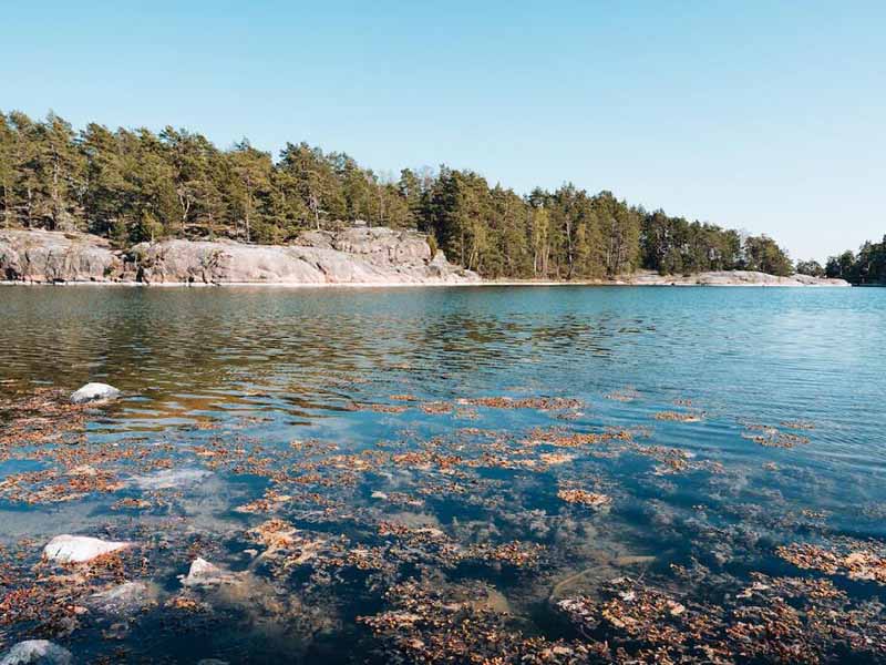 五參數(shù)水質(zhì)監(jiān)測(cè)儀檢測(cè)參數(shù)有哪些