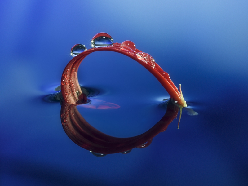 紅外分光光度測油儀如何校準