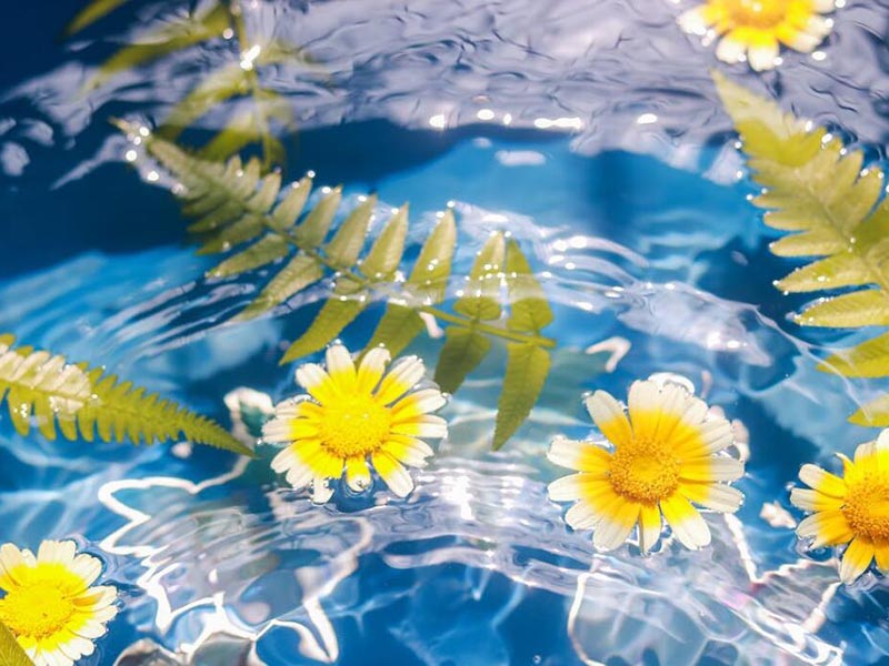 水質溶解氧正常值是多少范圍