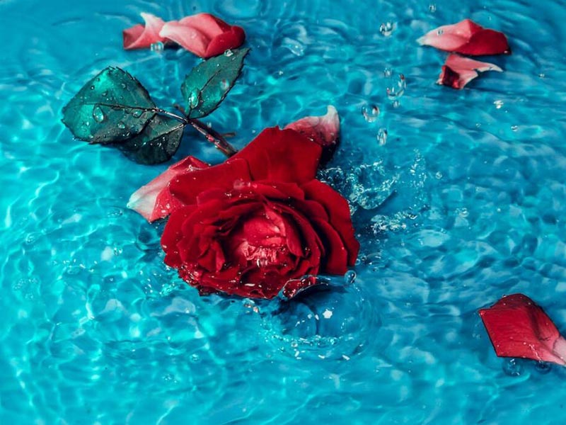 二氧化氯檢測方法對比（水質(zhì)二氧化氯檢測標(biāo)準(zhǔn)）