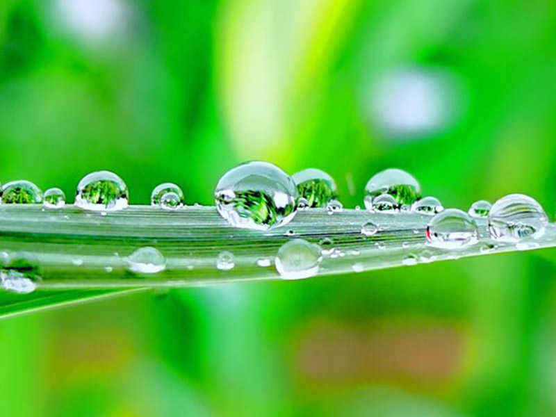 水質(zhì)BOD檢測為什么選用5日作為標(biāo)準(zhǔn)（水質(zhì)BOD檢測方法匯總）