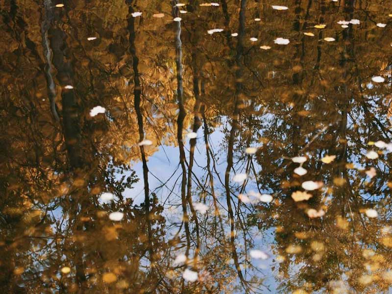 氨氮檢測(cè)儀的使用步驟