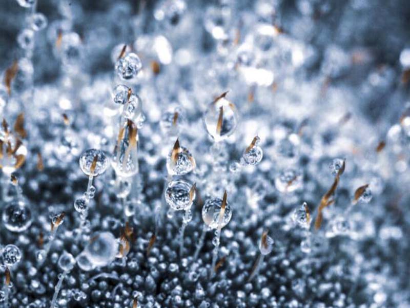 氨氮自動監測儀廢液主要成分（氨氮自動監測儀廢液處理方法）