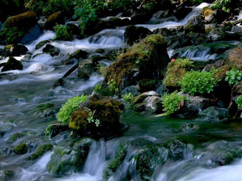 BOD5快速測(cè)定儀原理（BOD5快速測(cè)定儀功能及應(yīng)用范圍）