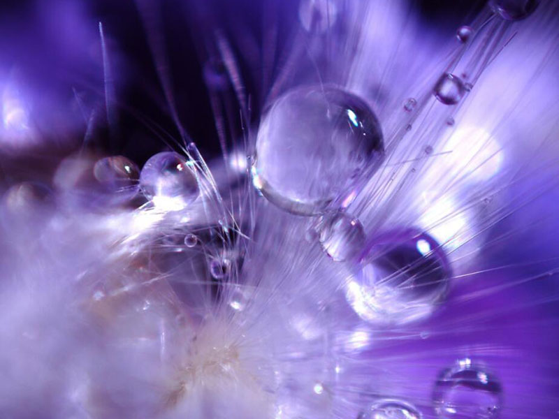 如何正確操作全自動紅外測油儀