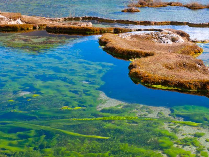 地表水總磷總氮標(biāo)準(zhǔn)限值（總磷總氮超標(biāo)處理方法）